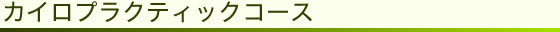 カイロプラクティックコース